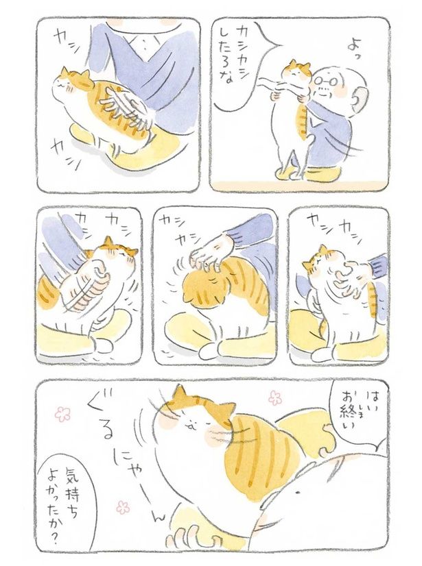  カシカシしたろな （C）ねこまき（ミューズワーク）／KADOKAWA