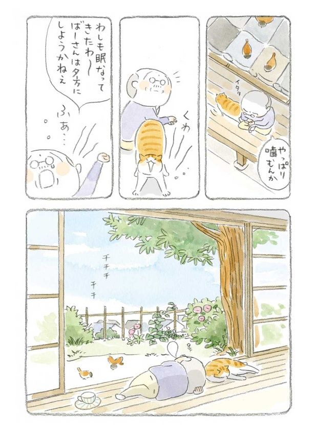  ばーさんは夕方にしようかねぇ （C）ねこまき（ミューズワーク）／KADOKAWA