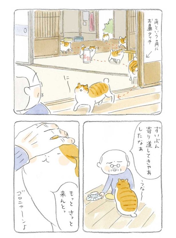 ずいぶん寄り道してきやあしたなぁ （C）ねこまき（ミューズワーク）／KADOKAWA