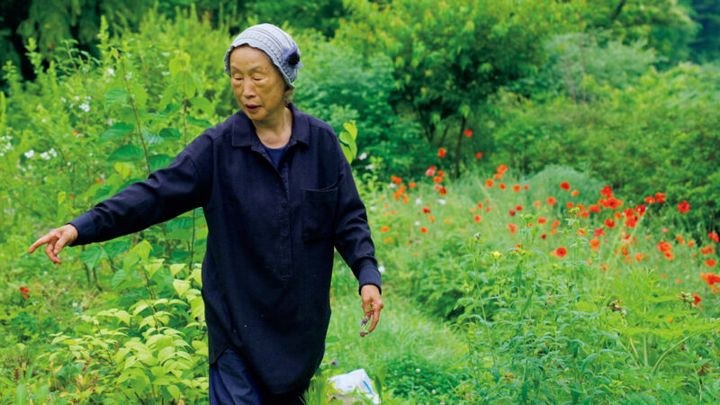 『大地に詩を書くように』 監督：チョン・ダウン 出演：チョン・ヨンソン ポレポレ東中野ほか全国公開中