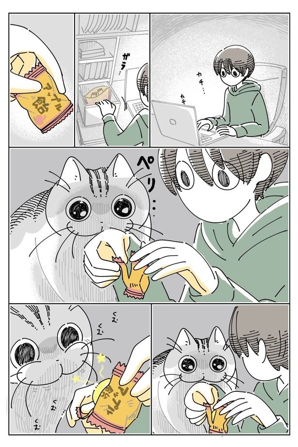 03 画像提供：キュルZ@kyuryuZ