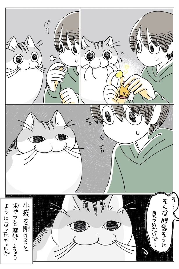 04 画像提供：キュルZ@kyuryuZ