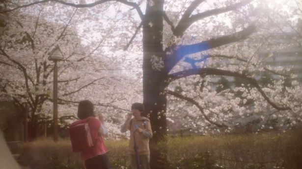 【写真を見る】転校生同士という共通点から、しだいに仲を深めていく貴樹と明里(『秒速5センチメートル』) [c]2025「秒速5センチメートル」製作委員会
