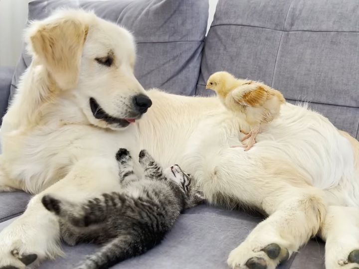 心温まる光景……