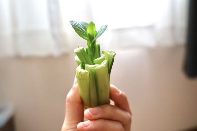 リボベジ 再生栽培で育っている小松菜をチェック イメージ