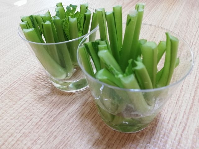 リボベジ 再生栽培中の小松菜