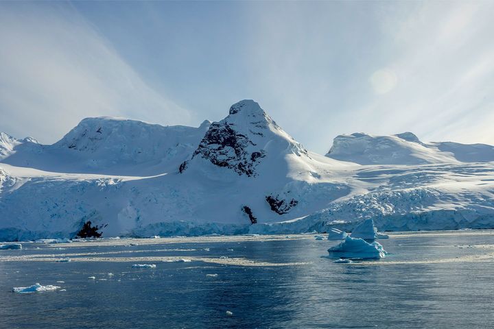 次に行きたい場所は南極だとか。