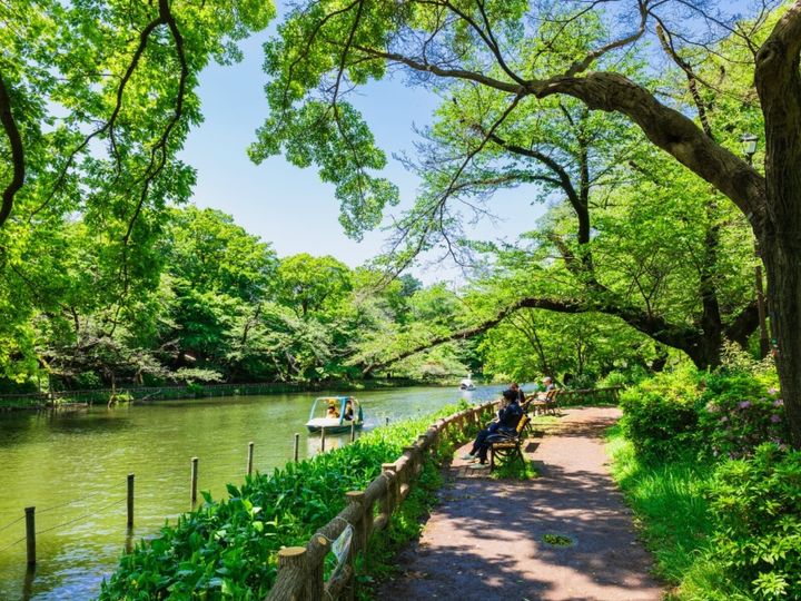 All About ニュース編集部が全国250人を対象に実施した「お金持ちが多そう」と思う市に関するアンケート」の調査結果から、東京都の市（23区以外）で「お金持ちが多そう」と思う市ランキングを発表！ 2位「武蔵野市」を抑えた1位は？