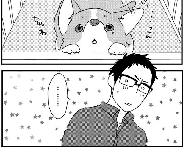 出会ったその日に運命のビビビ婚！うちのワンコとの馴れ初め (C)らくだ／KADOKAWA