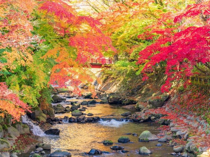 All About ニュース編集部が全国250人を対象に実施した老後に行きたい温泉地に関するアンケートの調査結果から、老後に行きたいと思う「静岡県（伊豆・熱海・東伊豆エリア）の温泉地」ランキングを発表！ 2位「修善寺温泉」を抑えた1位は？