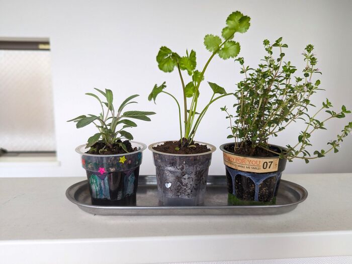 3個パックの『プッチンプリン』のカップ、実は優秀すぎた…！捨てる前に試したい便利でユニークな使い道♪