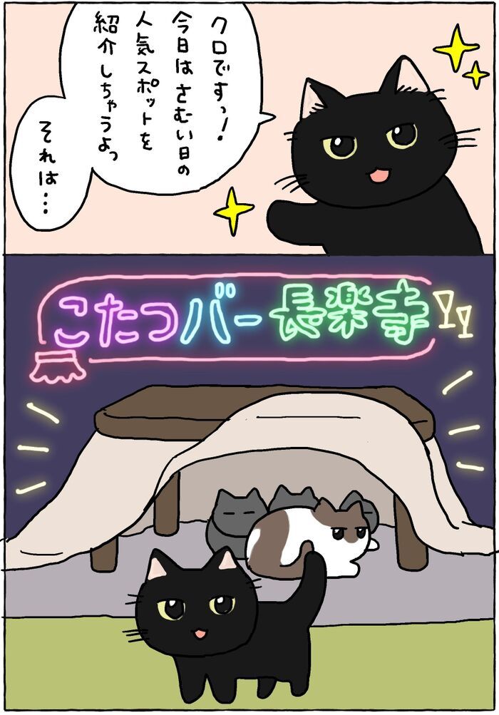 こたつバーは今日も満席です。【てらねこミー子の日常】