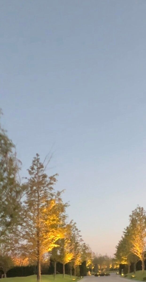 ライトアップされた琵琶湖畔