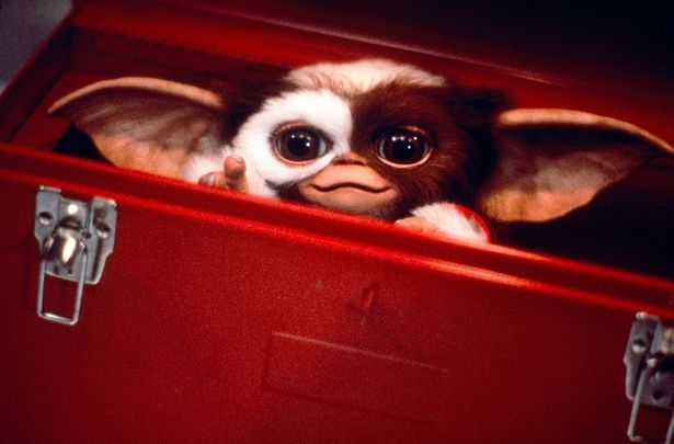 ギズモの愛らしさで大ブームが到来、1990年には続編も製作された [c]Everett Collection/AFLO