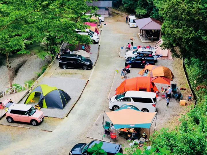 緑深い山と澄み切った清流好奇心をくすぐる自然がいっぱい