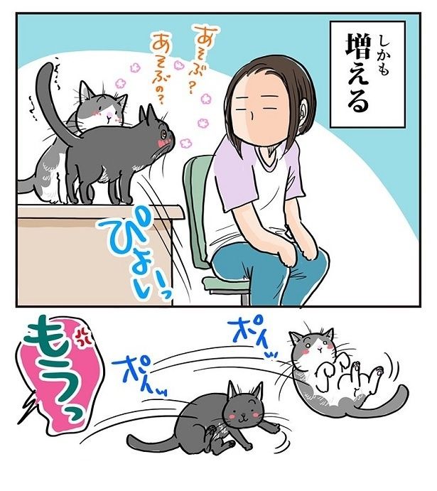 振り返ると、ポッちゃんだけでなく、朔ちゃんまで机に!! 藤緒ミルカ(@mirumirupakupa1)