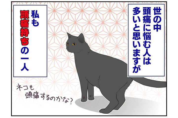 【マンガ・老猫日誌＃51】猫のプラシーボ効果！？〜19歳の元保護猫・桃姐