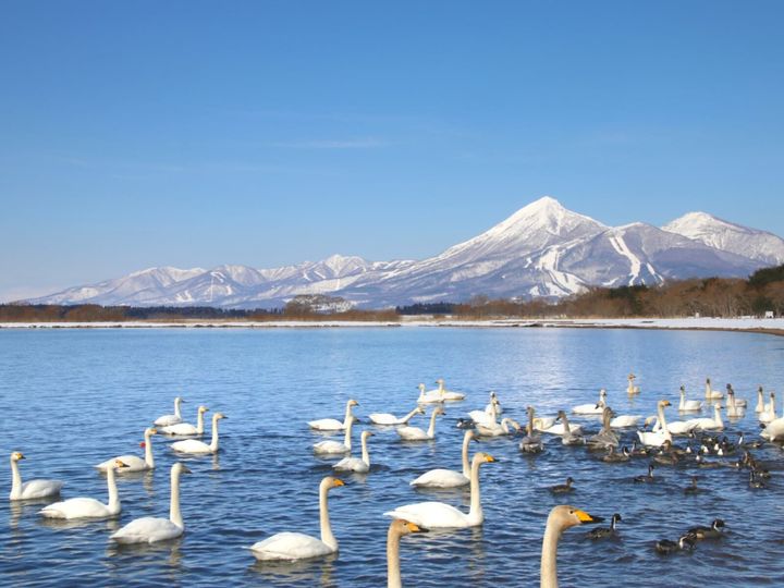 All About ニュース編集部が全国250人を対象に実施した絶景スポットに関するアンケートの調査結果から、一生に一度は行きたいと思う「福島県の絶景スポット」ランキングを発表！ 2位「猪苗代湖」を抑えた1位は？