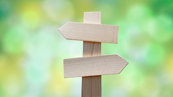 生涯にわたり成熟する能力を持っている