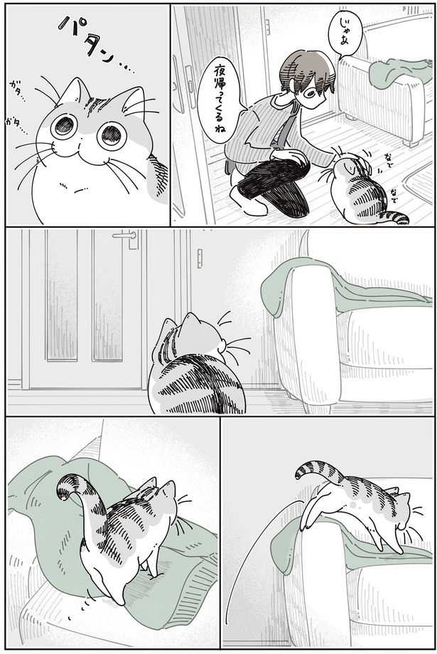 飼い主がいなくなり （C）キュルZ／KADOKAWA