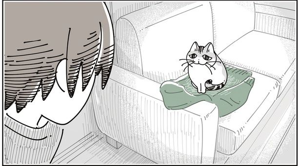 毛だらけの服 （C）キュルZ／KADOKAWA