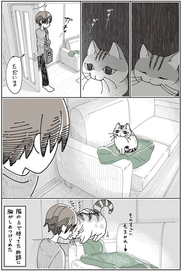 ものすごい毛まみれ （C）キュルZ／KADOKAWA