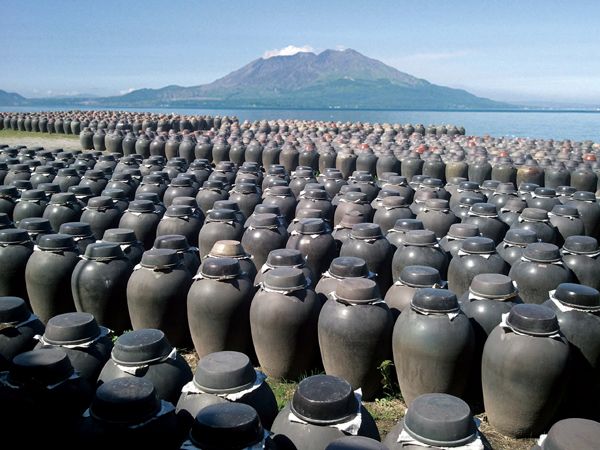 【鹿児島県】「伊達醸造」が創業200年の発酵の技を注ぐ直営ラーメン店を霧島市にオープン