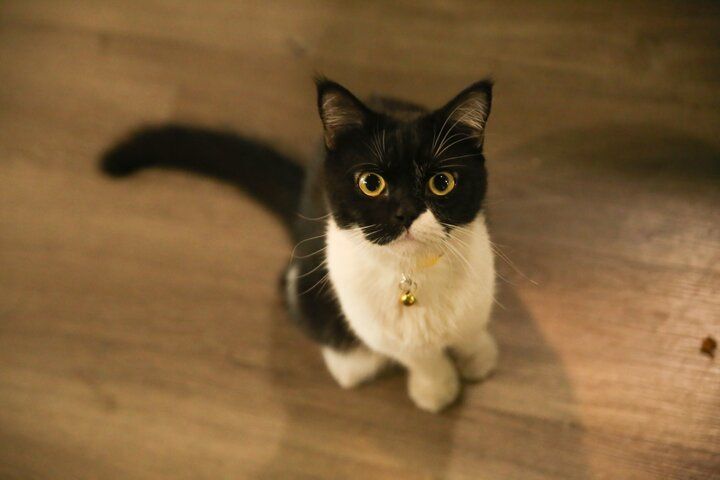 ベトナム・ハノイ旅でしたい5つのこと