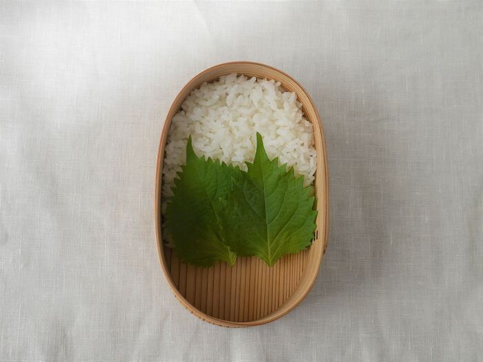 お弁当の詰め方が上手になる！まずは〈ご飯の入れ方〉を変えるだけで♪