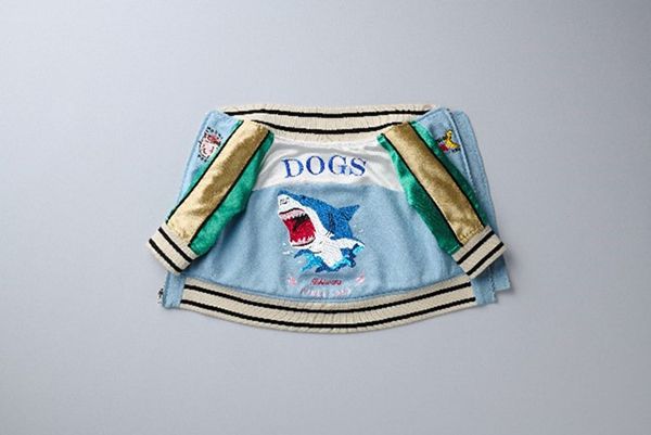 宮城県気仙沼のサメを活用したペットフードとペット用サメ革ジャケット新発売