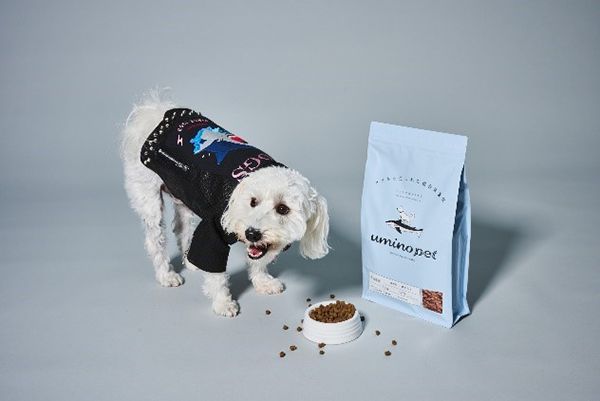 宮城県気仙沼のサメを活用したペットフードとペット用サメ革ジャケット新発売