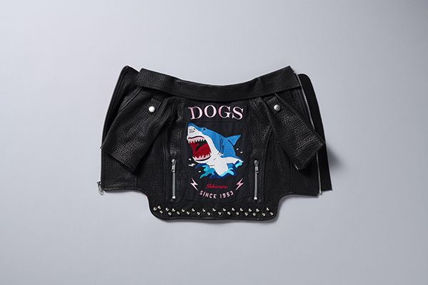 宮城県気仙沼のサメを活用したペットフードとペット用サメ革ジャケット新発売