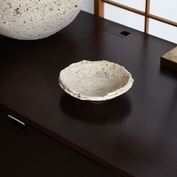 中根楽さんのお皿