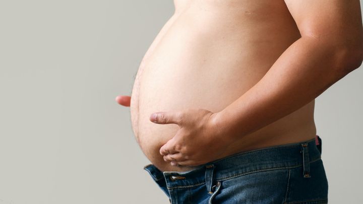 漢方薬「防風通聖散」が脂肪燃焼を再点火させる仕組みを解明