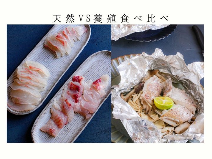 【ご近所で天然魚クエスト】天然vs養殖（お刺身＆ホイル焼き）