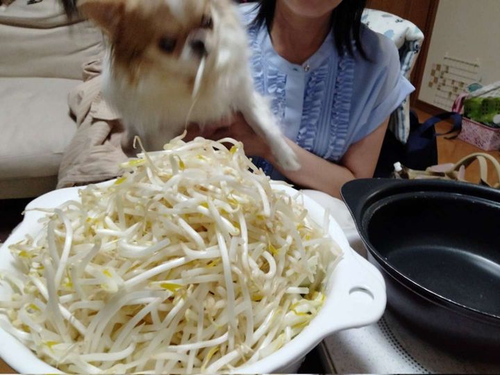 失敗...（画像は再掲）