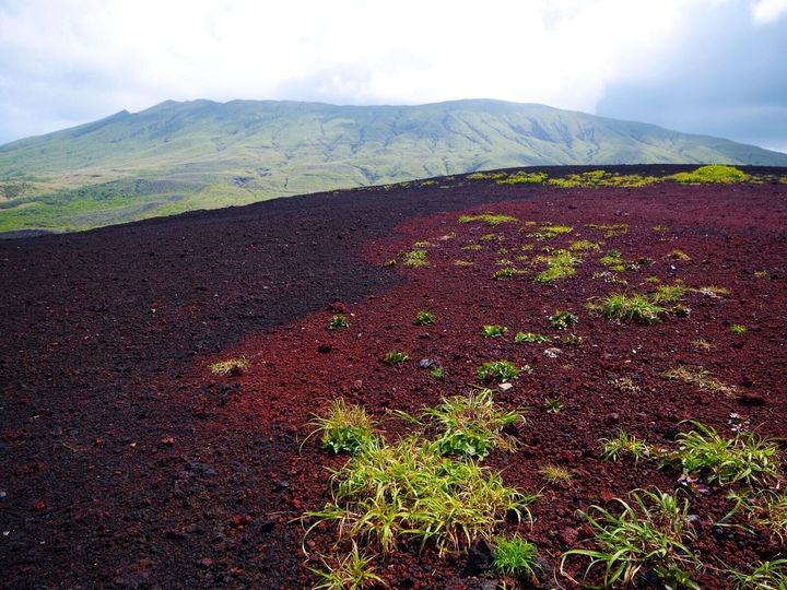 All About ニュース編集部は、全国10～60代の男女250人を対象に「絶景スポット」に関する独自のアンケート調査を実施。一生に一度は行きたいと思う「東京都・離島エリア（伊豆諸島・小笠原諸島）の絶景スポット」で1位に選ばれたのは？