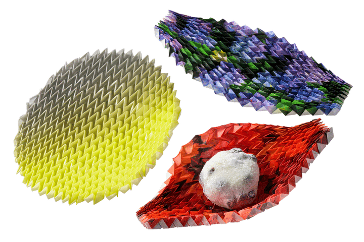 〈辻徳〉の紙皿