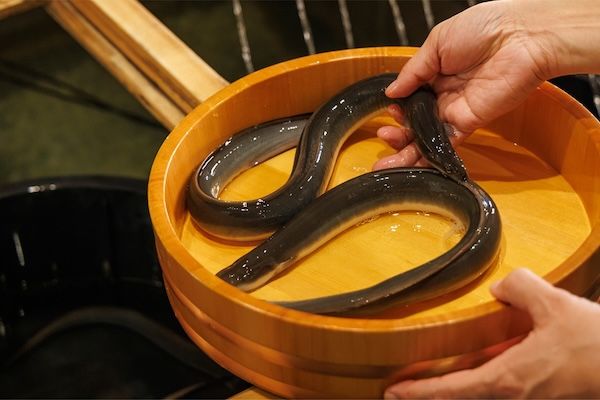 限定100食！うなぎのしろむらが、職人手づくりの特製二段重のおせちの予約販売を開始