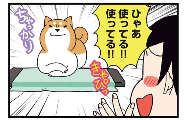 使ってる！！使ってる！！ （C）宮路ひま／KADOKAWA