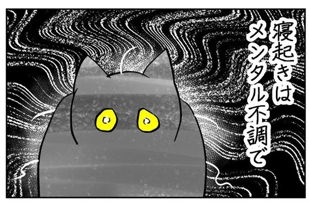 吸いすぎておかしい猫02 画像提供：筆坊日記(@720yushin)