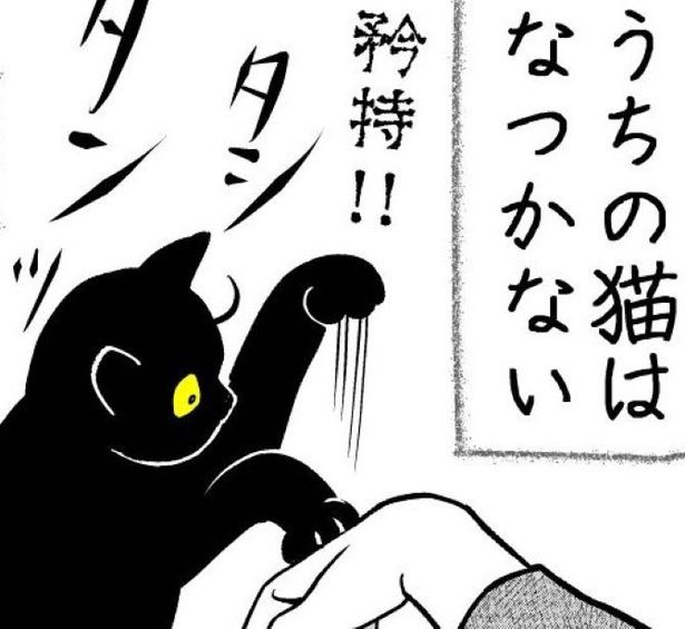 触らせません!!撫でようとすると「タシタシ」制裁される！これが、猫の矜持か!? 画像提供：筆坊日記(@720yushin)