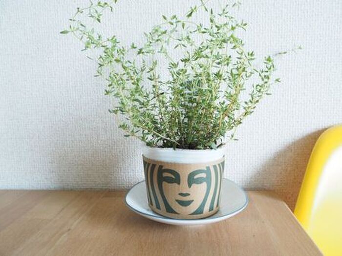 スタバのスリーブ、捨てるのちょっと待って！使い道考えてみたら…想像以上にイイ感じだった♪