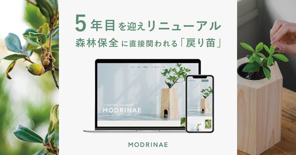 「戻り苗」のブランドサイトがリニューアル＆木製プロダクトのラインナップも拡充