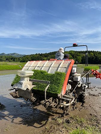 購入すると病気と闘う子ども達にガチャガチャを贈れる「チャリティ米」販売中