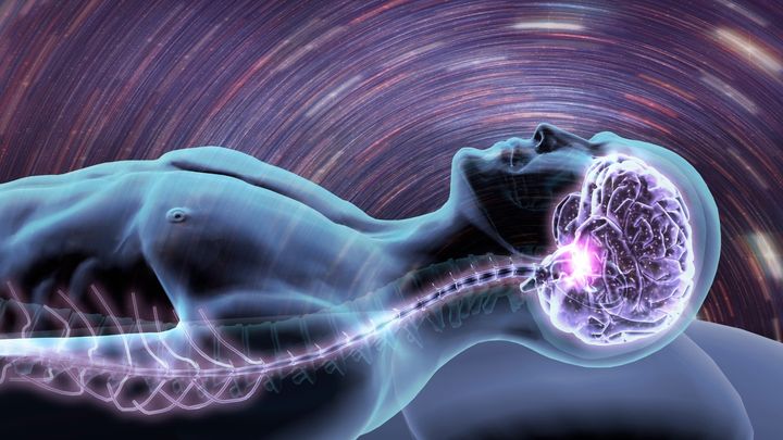 眠りは徐々に起こるのではない――脳が眠る瞬間を捉えることに成功