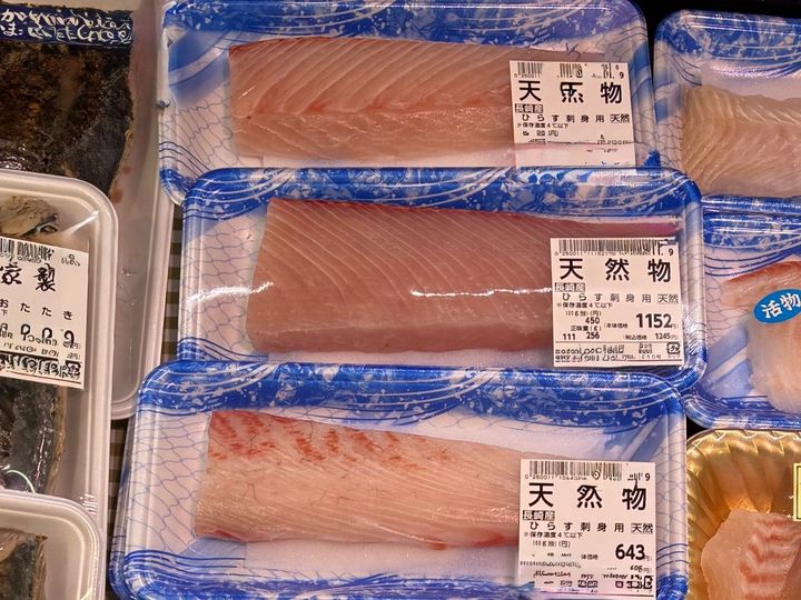 【天然魚クエスト】玄界灘って知ってる？！福岡で出会える魚を見てみてー！