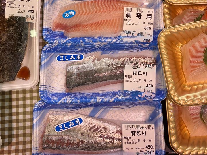 【天然魚クエスト】玄界灘って知ってる？！福岡で出会える魚を見てみてー！