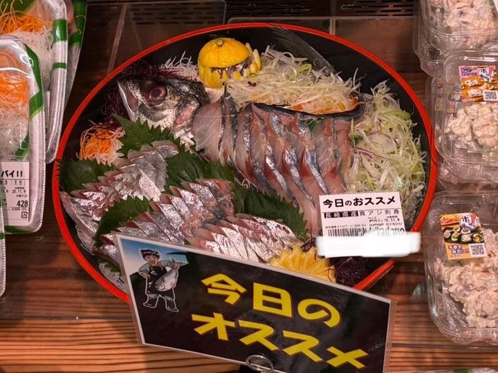 【天然魚クエスト】玄界灘って知ってる？！福岡で出会える魚を見てみてー！