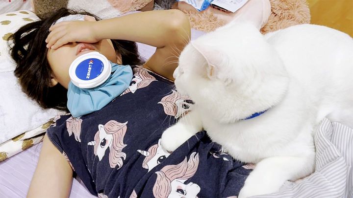 熱を出したお姉ちゃんを心配する猫